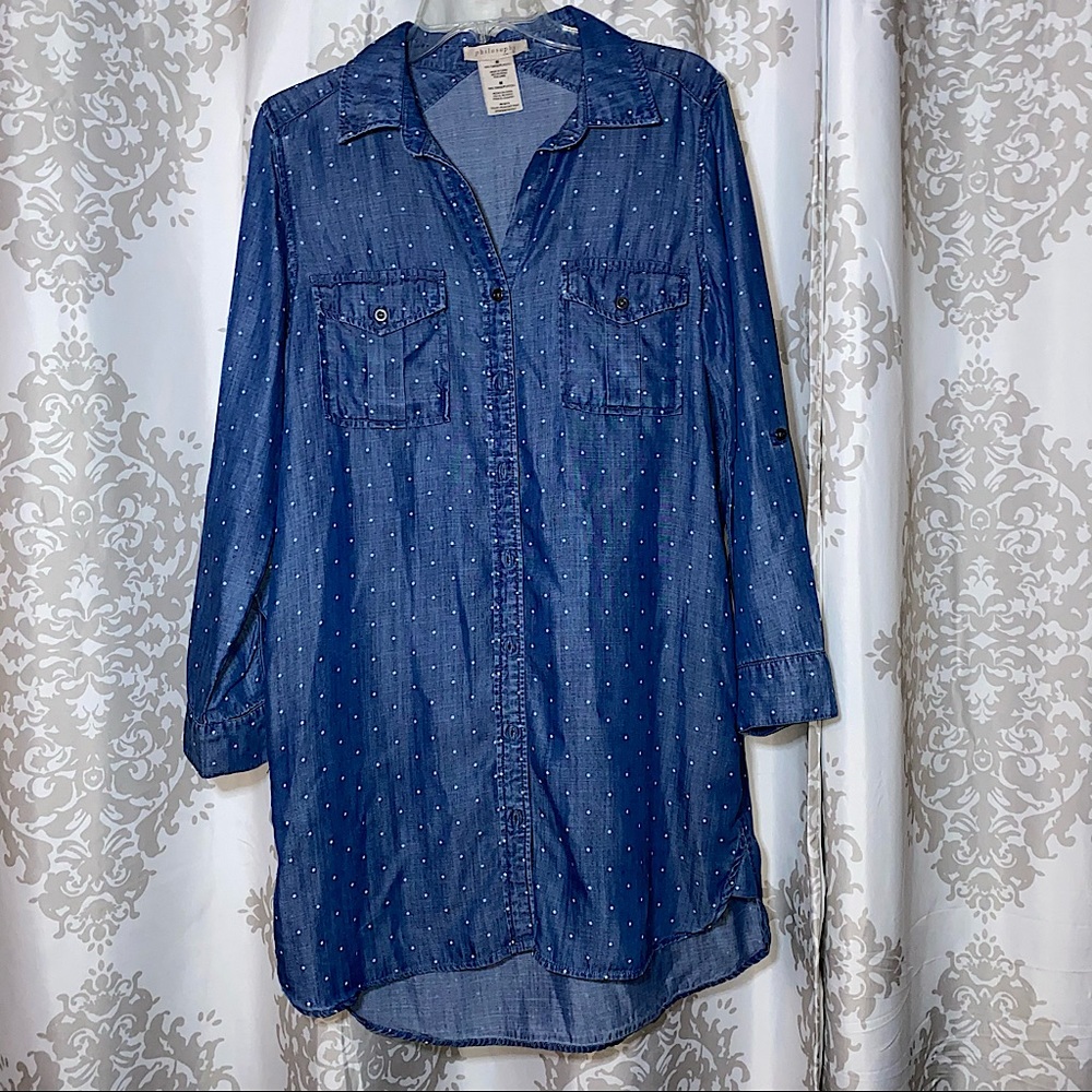 Philosophy denim style dress